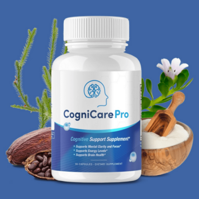 CogniCare Pro