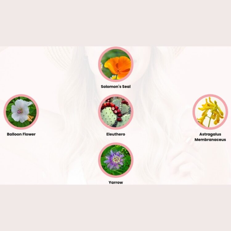 GlycoAid - Image 3