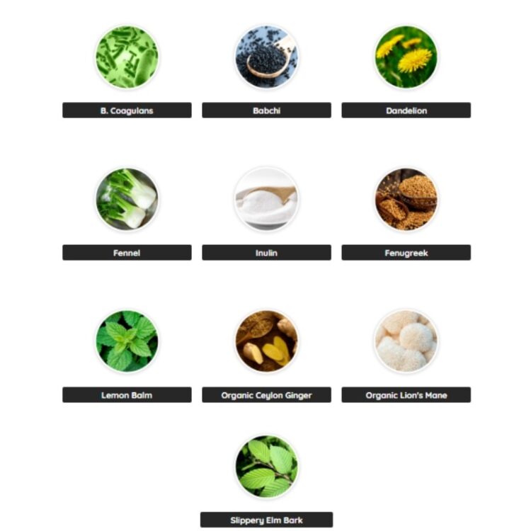 PrimeBiome - Image 3
