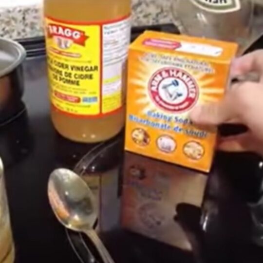 GLPro The Glucose Reset Ritual